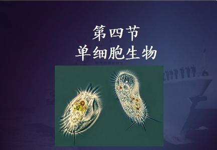 七年级生物工作总结 七年级下生物工作总结