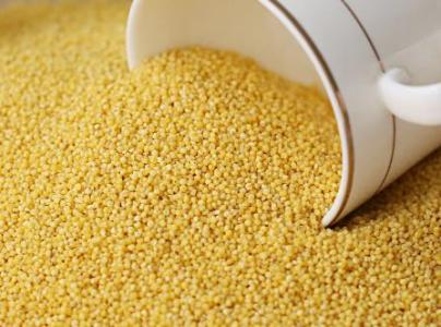 玉米的功效与作用 小米的功效与作用及禁忌