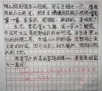 美丽的家乡二年级作文 二年级单元美丽的家乡作文5篇