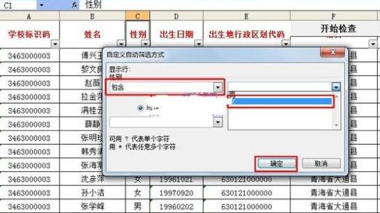 excel2010自动筛选 excel 2010自动筛选的使用教程