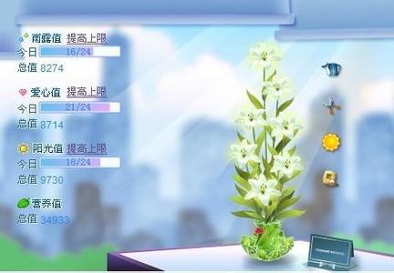 qq空间花藤 如何在qq空间里添加花藤效果