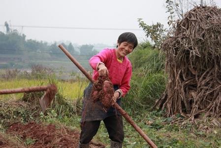 致富发财之道 农民的发财致富之道