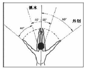 蛙泳换气技巧 蛙泳基本技巧