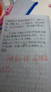 读书笔记300字左右 读书笔记300字左右2篇