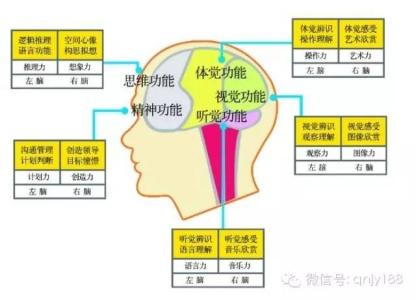 王峰记忆力训练方法 进行记忆力训练的方式方法