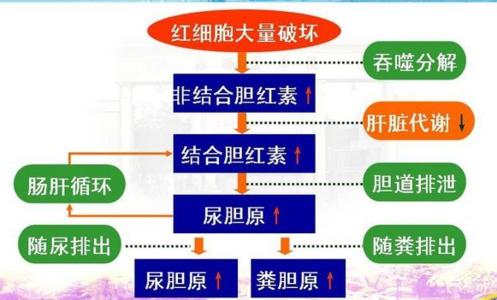 黄疸形成的原因 黄疸是什么原因形成的