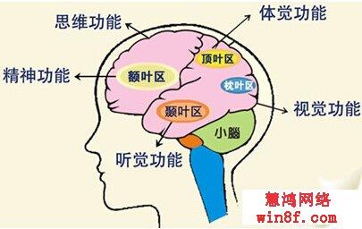 记忆力不好是缺什么 记忆力不好什么原因