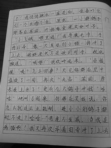 暑假生活作文 小学作文我的暑假生活