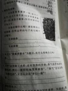 初一上册语文《紫藤萝瀑布》期末练习试题