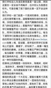 大学校园活动的文章 校园活动的文章