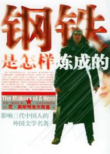 读钢铁是怎样炼成有感 读钢铁是怎样炼成的有感优秀篇