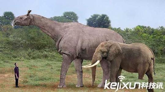 史前最大的动物排名 世界上最大的史前动物