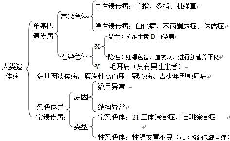 高二生物知识点总结 高二生物遗传知识点总结