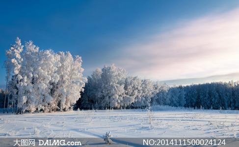 描写冬季景色的诗句 冬季的景色的作文