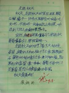 走进秋天的作文300字 走进秋天初三作文600字6篇