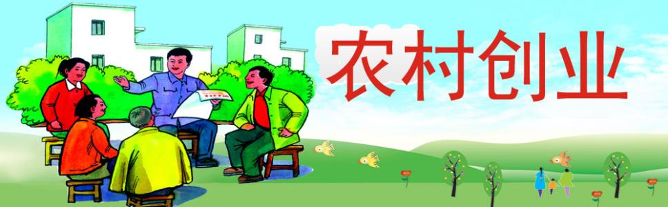 农村创业故事 农村创业发财故事