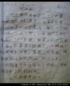 有趣的实验作文800字 关于有趣的暑假的日记800字 有趣的暑假800字作文日记