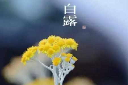 白露节气 白露节气皮肤保湿吃什么
