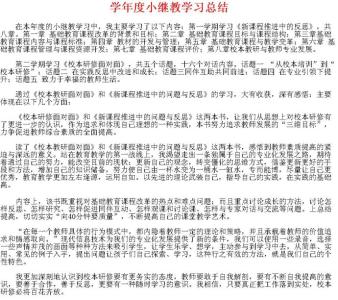 中小学教师新继续教育学习总结范文