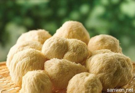 猴头菇作用及食用方法 猴头菇功效与作用及食用方法