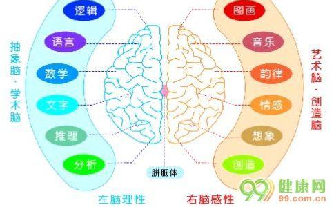 右脑记忆开发 全面开发宝宝右脑记忆的方法