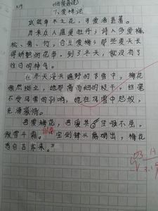 赏花作文300字 赏花小学作文300字4篇