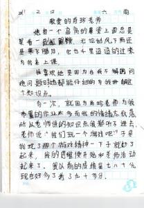 我最敬爱的老师300字 我最敬爱的老师作文