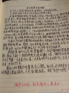 读斑羚飞渡有感 《斑羚飞渡》读后感600字_读《斑羚飞渡》有感600字精选