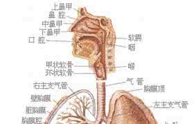 经常肝火旺是什么原因 肝火什么原因