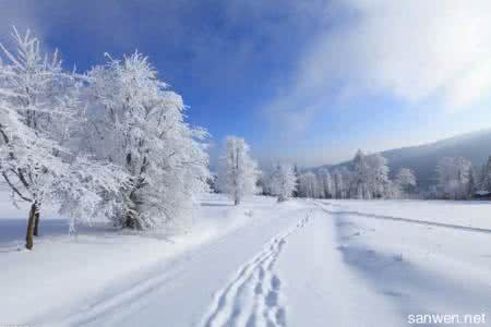 描写冬天景色的作文 描写冬天景色的作文 冬天美景的作文