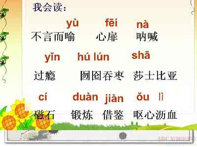 我的长生果读后感300字 我的长生果读后感
