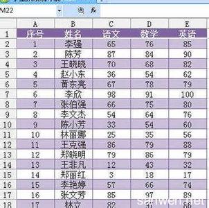 wps套用表格样式 WPS怎么套用表格样式