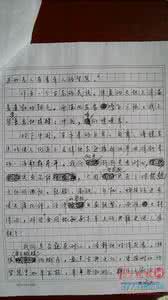 2009高考山东满分作文：见证