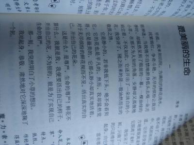 四年级作文我的愿望 我的愿望400字作文,四年级作文写我的愿望
