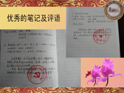 小学生一句话评语 小学教师一句话评语