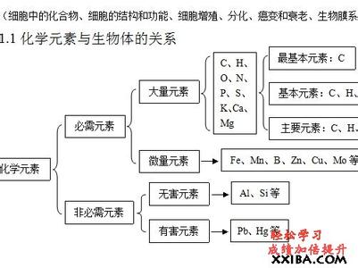 高二生物下册期末备考知识要点复习