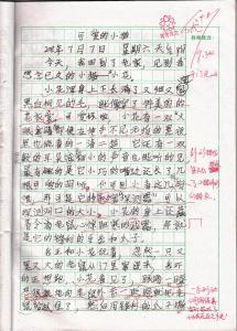 小猫作文400字 我家的小猫400字优秀作文5篇