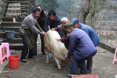 负隅顽抗是贬义词吗 负隅顽抗