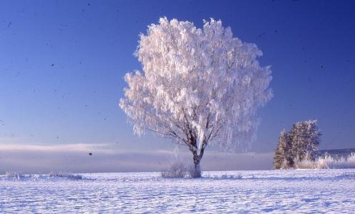 描写冬天的散文 关于描写冬天的经典散文
