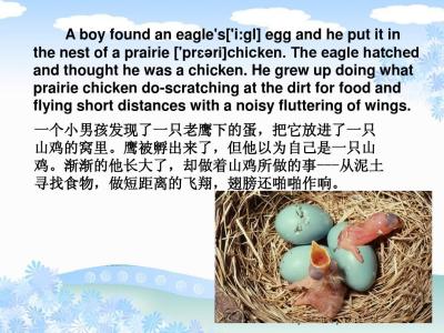 英语励志小故事短篇 关于励志的英语短篇故事