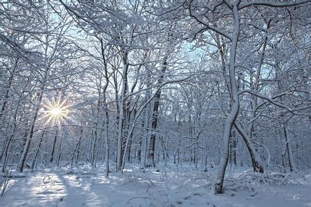 冬天散文诗欣赏 七篇 关于写冬天唯美的散文欣赏