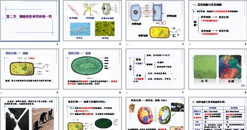 碳的化学性质教学反思 生物与环境的关系教学反思