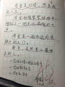 感恩母亲优秀作文 母亲的爱高中优秀作文