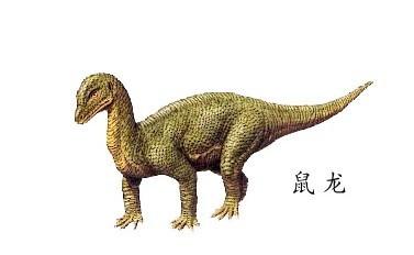 世界上最大的恐龙是 世界上最小的恐龙是