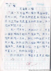 观察小猫的作文400字 小学作文小猫观察记4篇