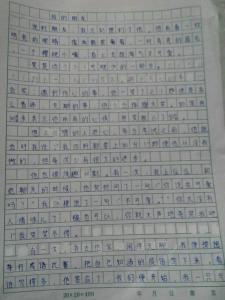 一篇写人的作文450字 我的老奶奶450字作文5篇