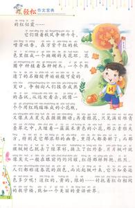 美丽的清江500字作文 美丽的清江小学作文