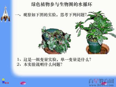 八年级生物绿色植物与生物圈中的水循环同步练习题及答案