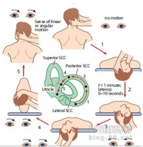 眩晕症吃什么药 眩晕症怎么治疗