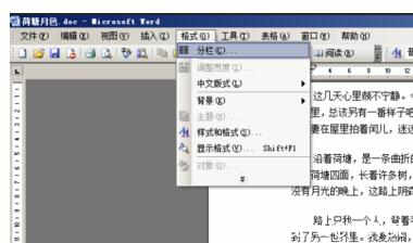 word2003分栏 word2003怎么对文档进行分栏